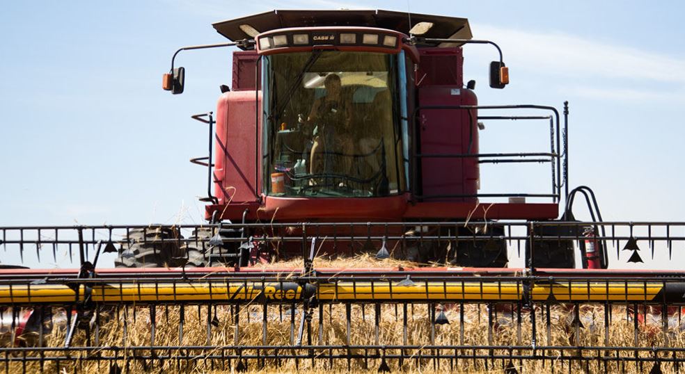 Wheat Harvest Reports Nearly Halfway Complete While Other Crops Continue To Improve According To The Latest USDA Crop Progress Report