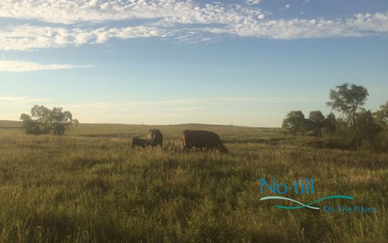 Kansas Soil Health Alliance and No-till on the Plains 