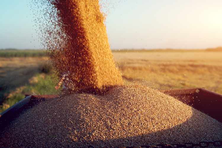 WATT Global Media Acquires Feed & Grain Magazine, Digital Brands