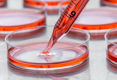 USDA Seeks Comments on Labeling of Meat and Poultry Products Derived from Animal Cells