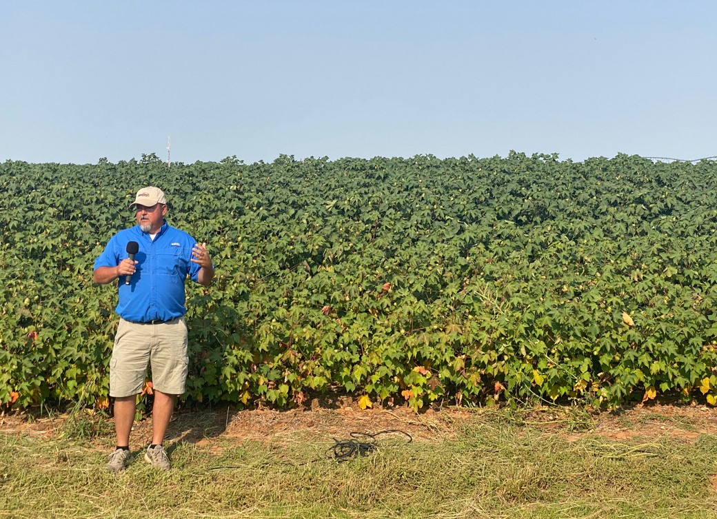 2021 Shaping Up to be a Great Year for Oklahoma Cotton