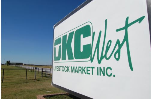 Feeder Steers Steady, Feeder Heifers Lower,  Steer and Heifer calves Lightly Tested at OKC West - El Reno