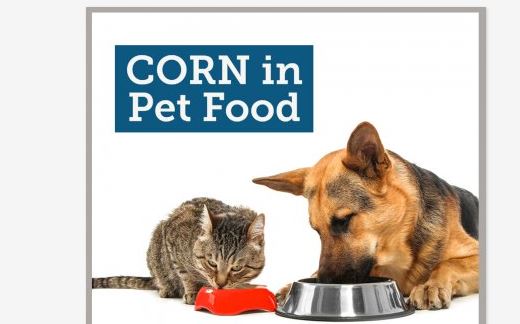 The Value of Corn in the Pet Food Industry