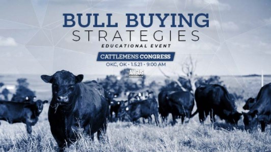 Beef Up Your Bull-Buying Strategy at Cattlemen's Congress