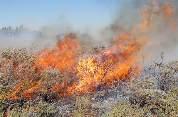 OSU Fire Ecology Specialist John Weir Warns of Danger, Offers Guidance