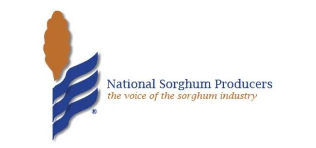 Sorghum Exports Close 2021 with Marketing-Year High Commitments and Shipments