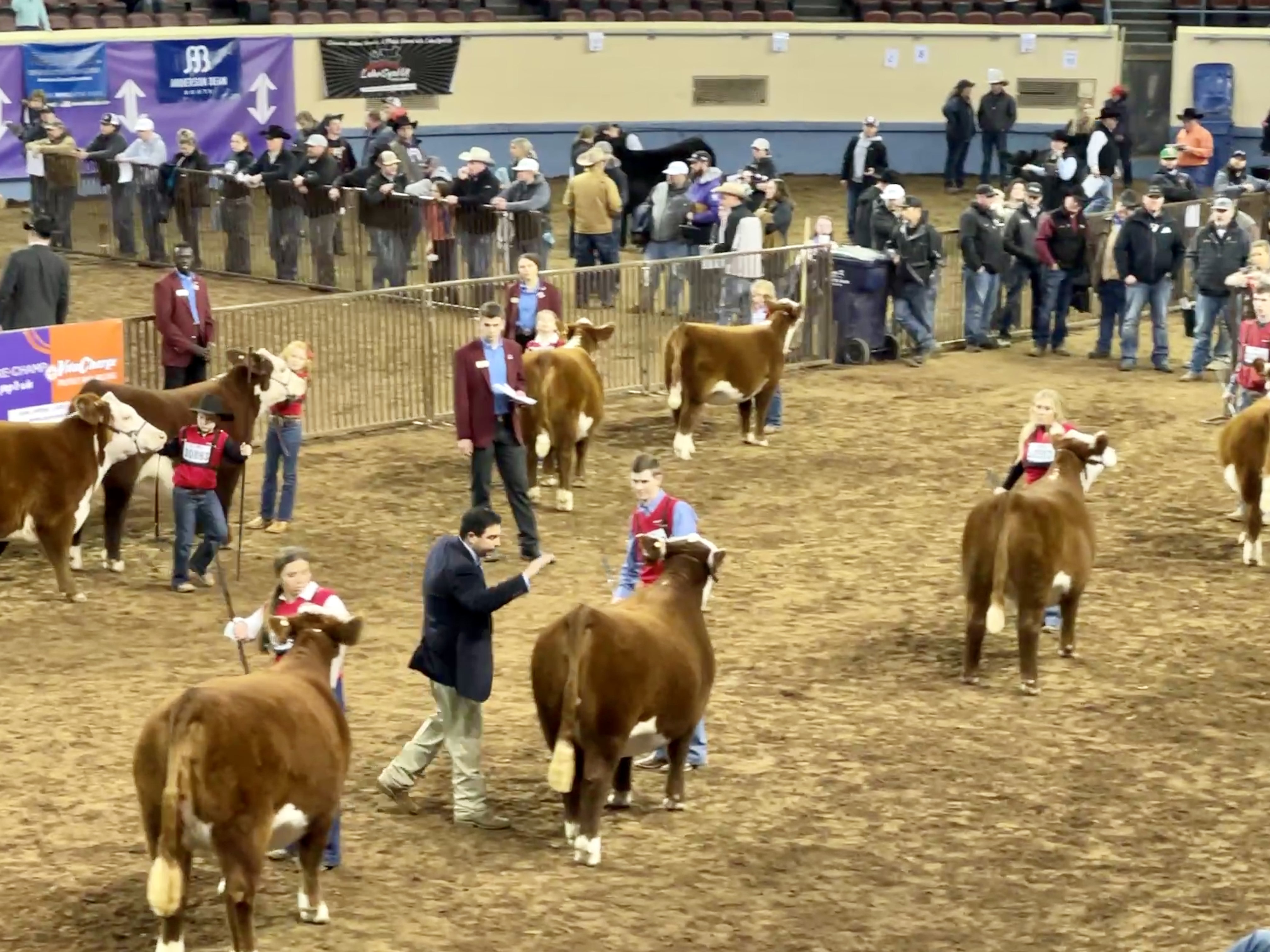 Jarold Callahan with Cattlemen's Congress Proud That This Show is a Cattle Show for Cattle  People