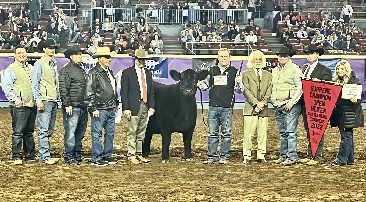 Angus Claims Both Supreme Open Champions at the 2022 Cattlemen's Congress