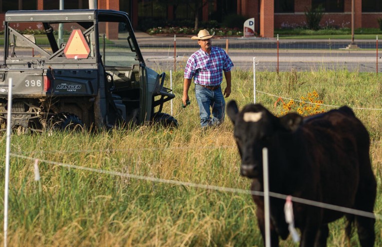 How to Set Up a Solar-Charged Polywire Paddock