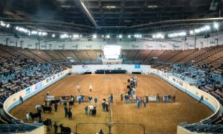 2022 Cattlemen's Congress Laid the Groundwork for a Major National Beef Cattle Show to be a Fixture in OKC Each Janaury