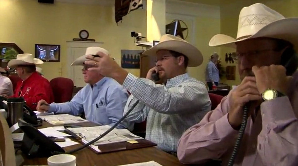 Cattle For Immediate Delivery Lower on January 27th Superior Video Auction