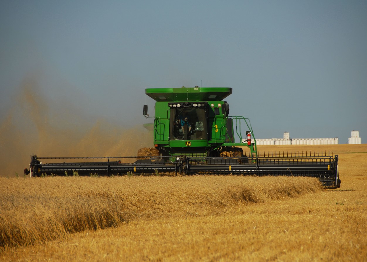 OSU Wheat Breeder Brett Carver Looking at Game Changing Varieties to Help Wheat Producers Make Superior Returns