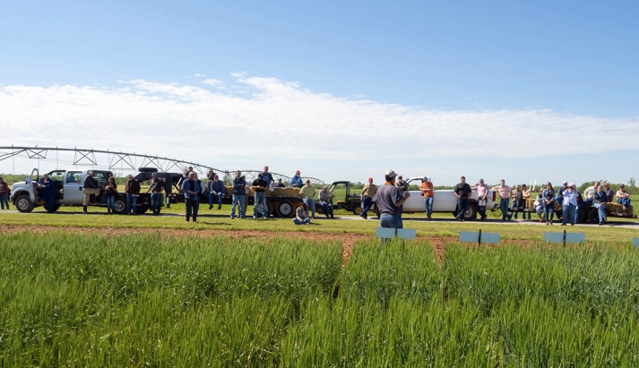 Crop Clinic Field Day Prepares Agriculture Producers for Production