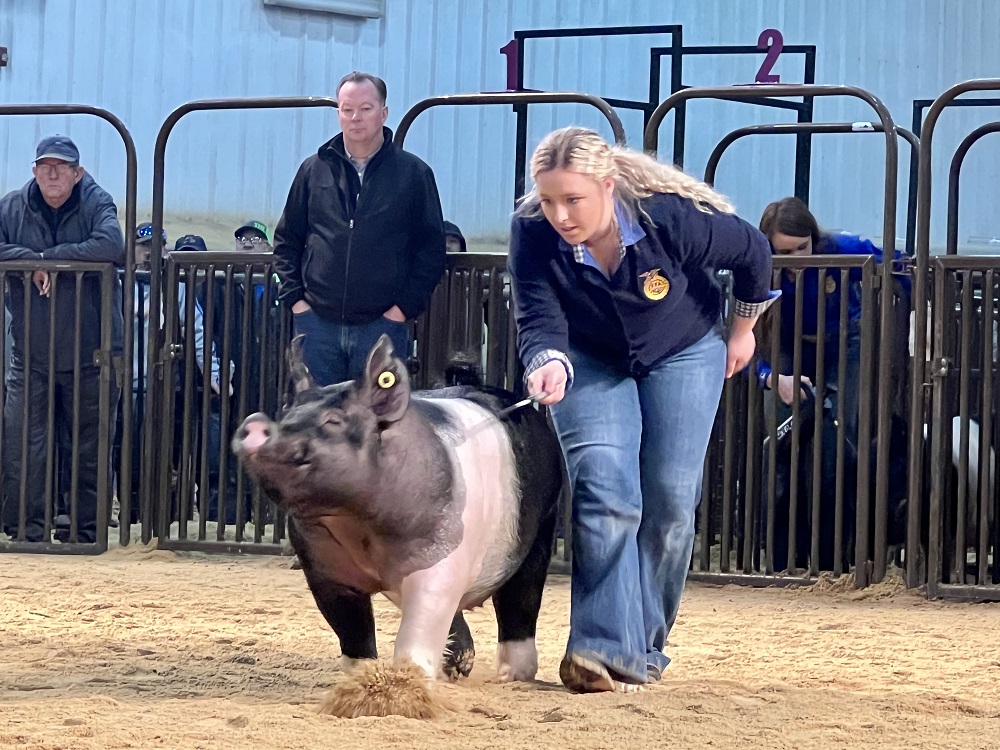 Oklahoma Farm Report Jalei Watts of Warner FFA Shows Supreme Champion