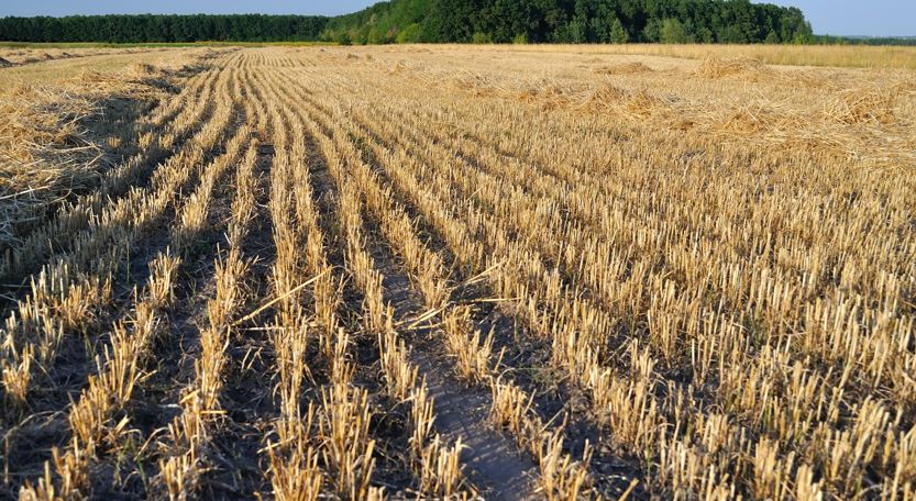 Oklahoma crop Conditions Continue to Suffer Without Much Moisture 