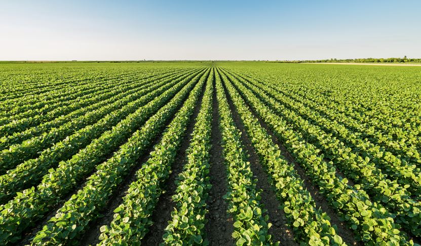 Analyzing Farm Inputs: The Cost to Farm Keeps Rising