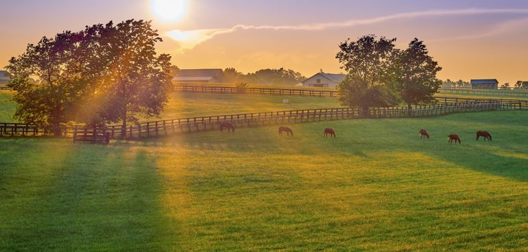 EPA Expands Use of Enlist Products to 134 Additional Counties for the 2022 Growing Season