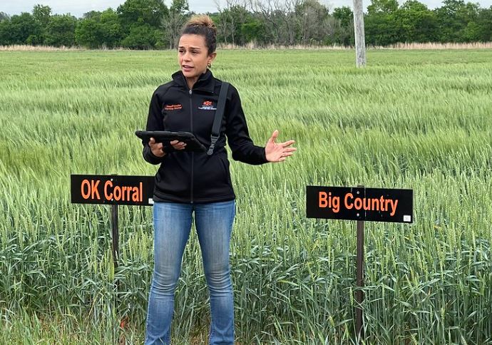 OSU's Dr. Amanda Silva Says Wheat Looks Good in Chickasha, but Bleak in Other Areas of the State 