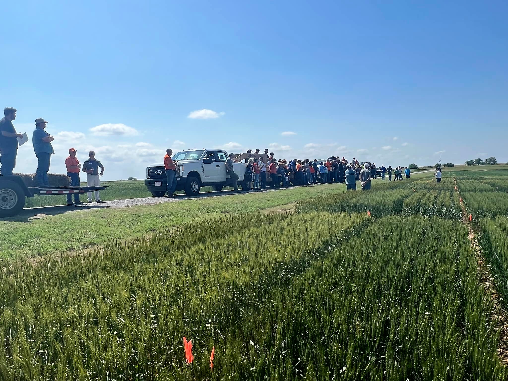 Oklahoma Wheat Commission's Mike Schulte- Hot Temperatures Speeding Up Wheat Crop Maturity and Likely Hurting Quality