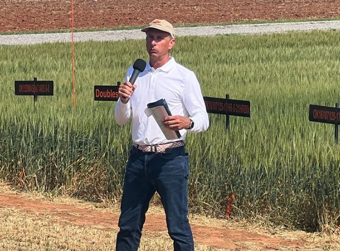 OSU's Brett Carver is Excited to be part of a Monumental Time for the OSU Wheat Improvement Team