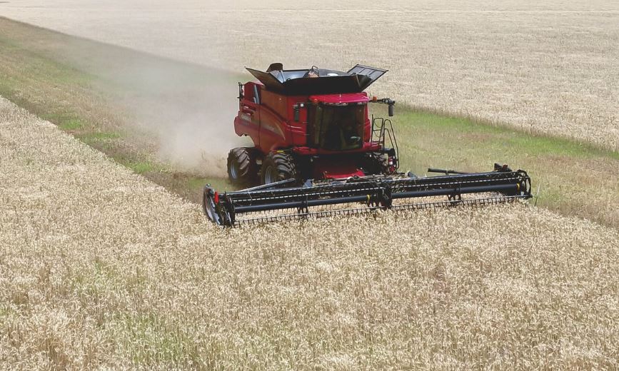 Wheat Harvest Reaches 12% Complete before Latest Rain Delay 
