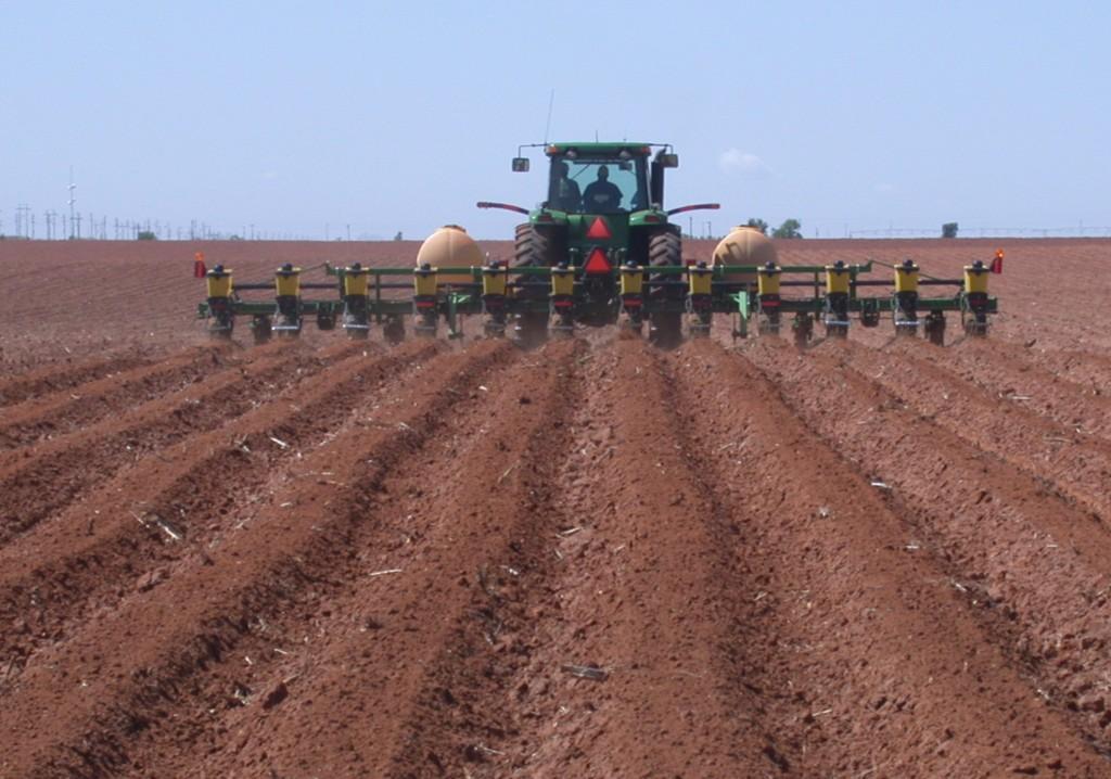 Seth Byrd Says Replanting Cotton Seldom Results in Better Crop