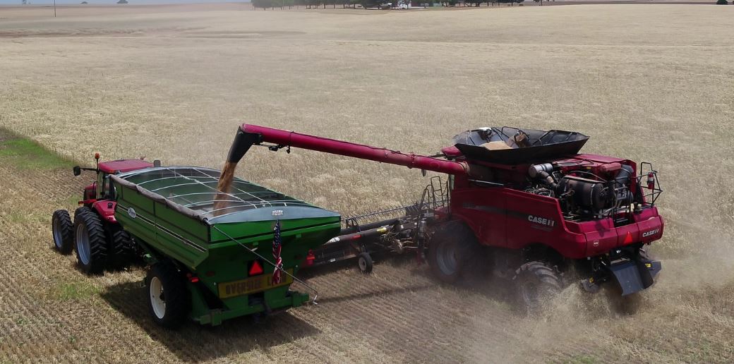 Wheat Harvest Reaches 20% Complete With Rains Falling Across the Wheat Belt 
