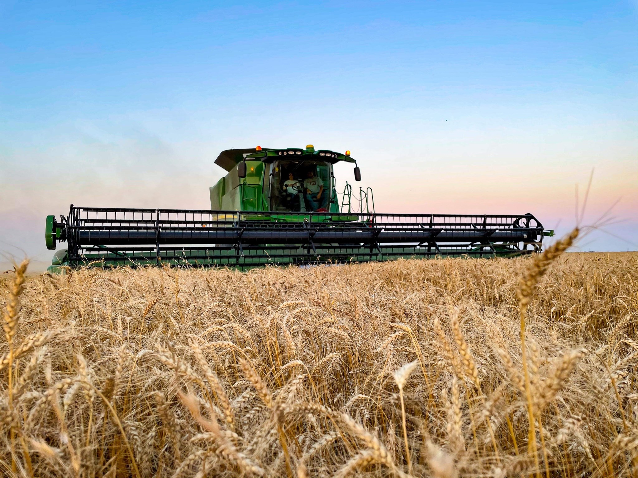 Plains Grains Calls Rain Soaked Wheat Harvest Now 22% Complete in Oklahoma- 36% Complete in Texas