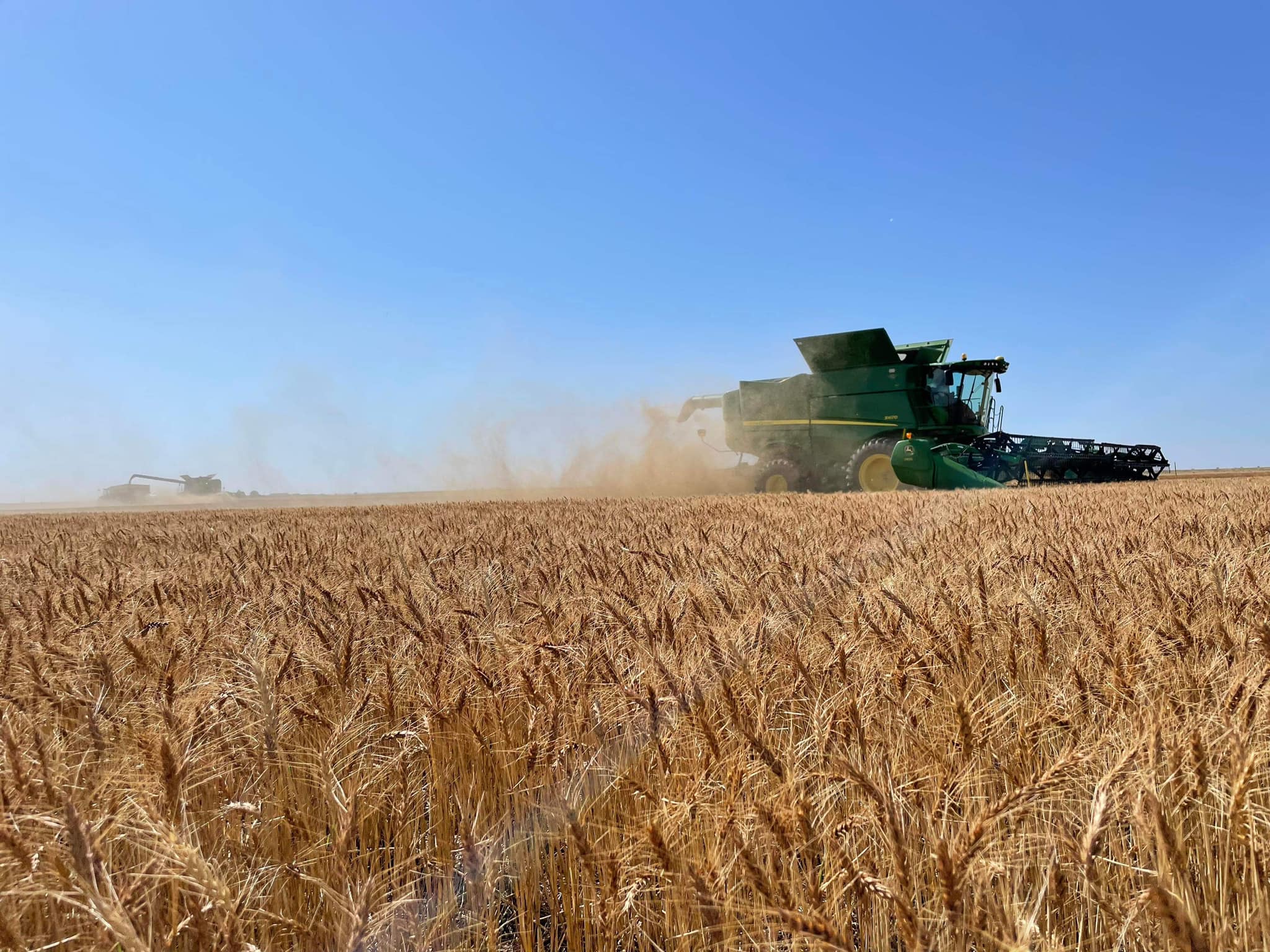 2022 Oklahoma Wheat Harvest Passes Halfway Mark- Wheat Commission Calls Harvest 55 Percent Done