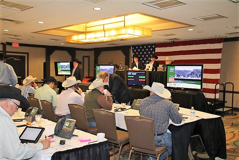 Buyer Optimism and Higher Prices Seen at Superior's Corn Belt Classic for 2022