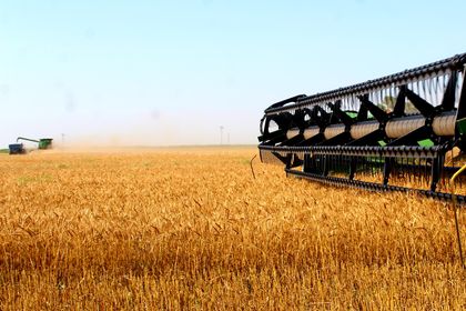 Plains Grains Reports Harvest in Southern Plains- Texas 78%, Oklahoma 89% and Kansas 35% Complete