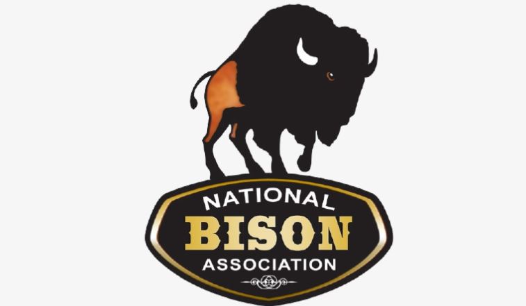 July is Bison Month!