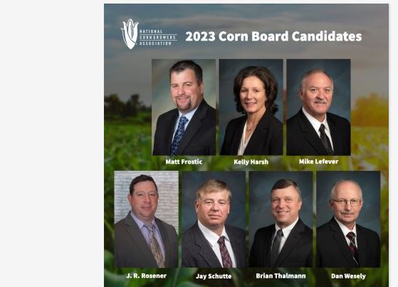 Be an Informed Voter! Meet the FY23 Corn Board Candidates