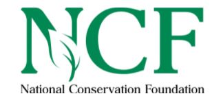 NCF Announces Launch of NGLI Application Period