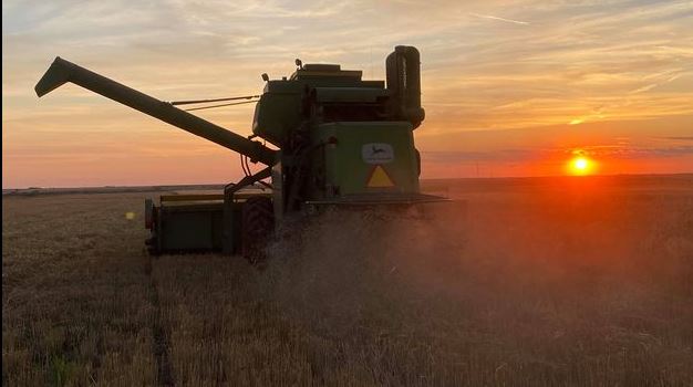 Final Harvest Report from Oklahoma Wheat Commission Says Wheat Harvest 99 Percent Complete