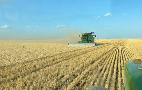 Plains Grains Calls Kansas Wheat Harvest 87 Percent Complete- Nebraska and Colorado in Full Swing