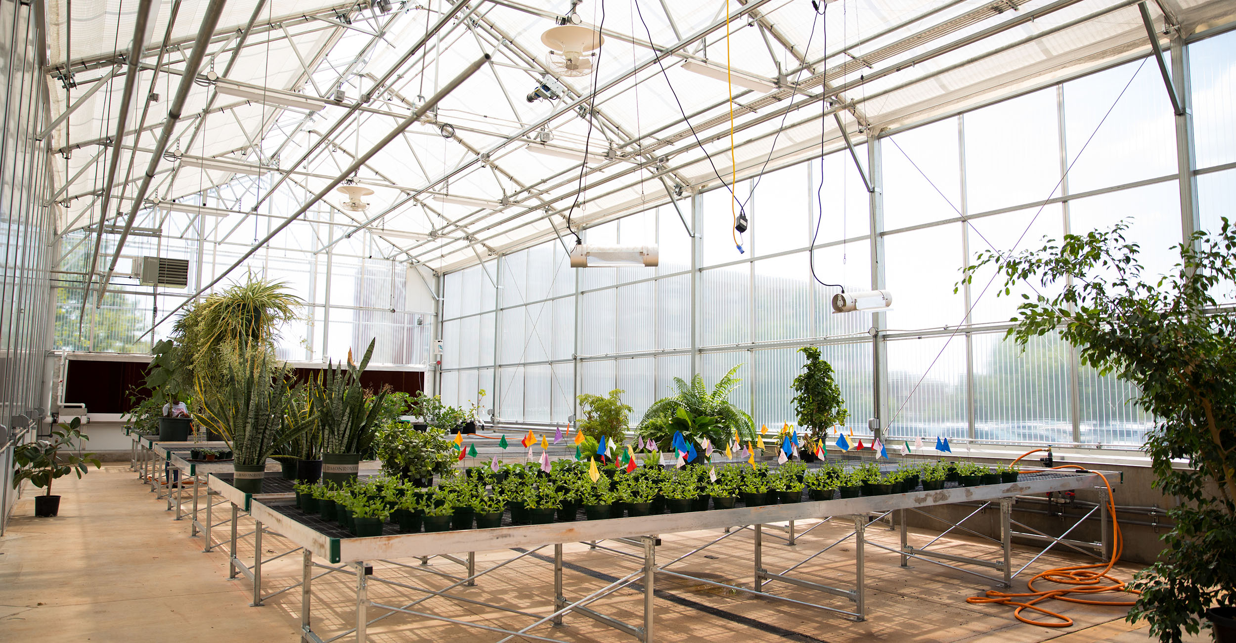 Oklahoma Farm Report OSU to Host Greenhouse and Garden Center Conference