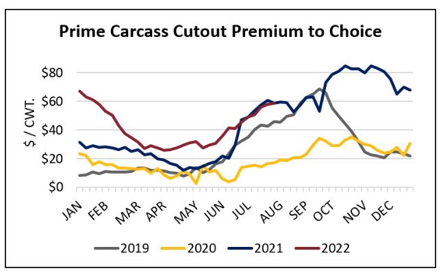 Certified Angus Beef Market Update with Paul Dykstra "Premium Beef Remains in Fashion" 