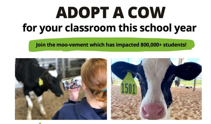Adopt A Cow! A year-long FREE Experience in your Classroom