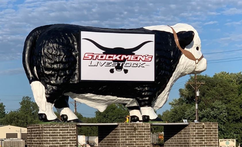 Bob Rodenberger with Stockman's Livestock Highlights Positives of Cattle Market