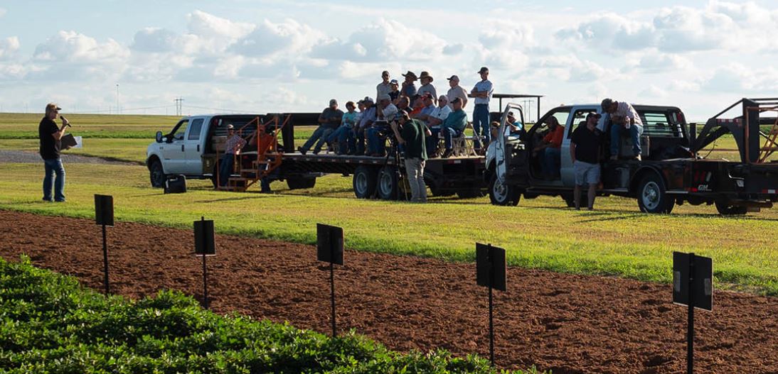 Oklahoma Farm Report Caddo Peanut and Cotton field day Coming up Tomorrow