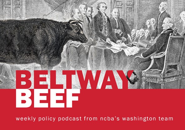 Beltway Beef Podcast: NCBA's CEO Goes to Washington