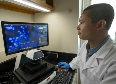 OSU Scientists Helping to Seek Cure for Tuberculosis