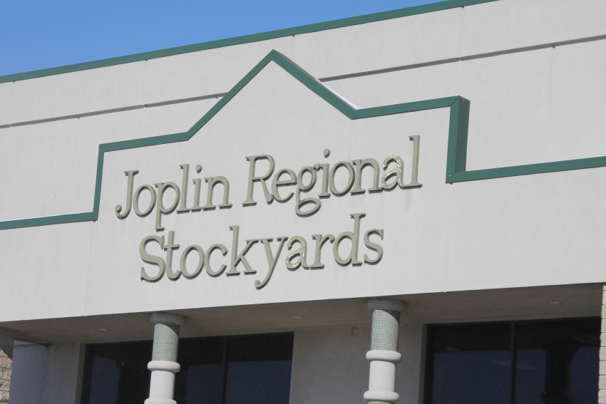 Feeder Steers Steady to Lower, Feeder Heifers Lower at Joplin Regional Stockyards on Monday