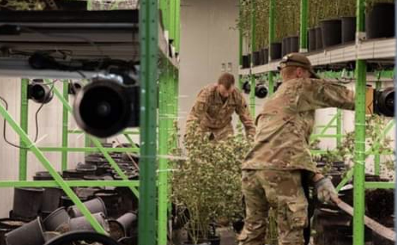 Oklahoma Bureau of Narcotics Aggressively Targeting Criminal Activity Within the State's Medical Marijuana Program