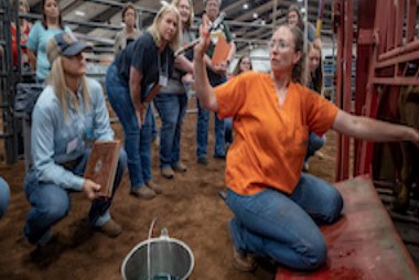 OSU's Rosslyn Biggs talks Rural Vet Shortage Across the Country 