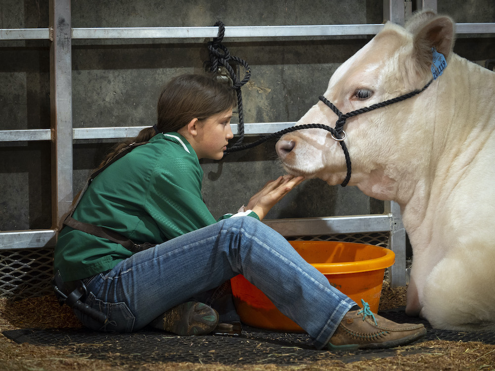 Livestock Biosecurity a Diligent and Serious Task