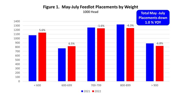 Feedlots Defy Gravity Again, says OSU's Derrell Peel