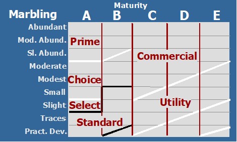 Retained Ownership? - Part 3, Beef Quality Grades