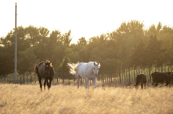 Rural Economic Outlook Conference to Address Supply Chain Challenges